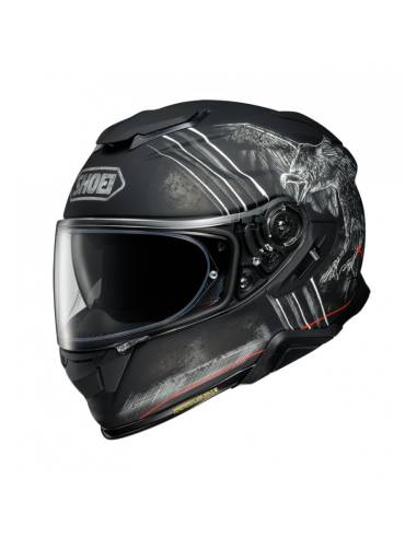 Casco SHOEI GT-Air 2 Ubiquity TC9