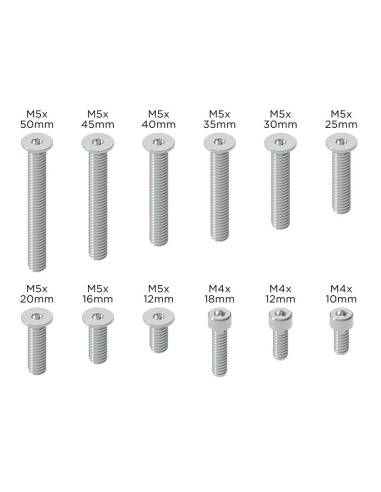 Juego de Tornillos de Recambio QUAD LOCK