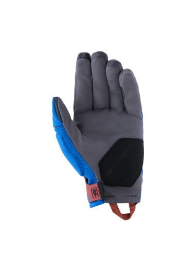 Guantes ALPINESTARS Durack Azul...
